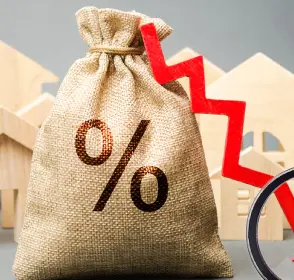 Bolsa de ahorro