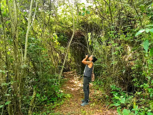 Parque Verde y Agua