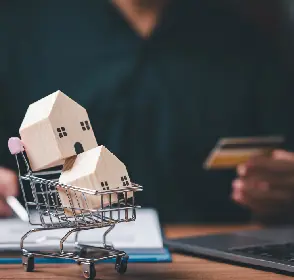 Casitas en carrito de compras