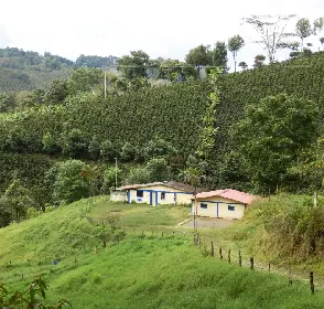 Fusagasugá