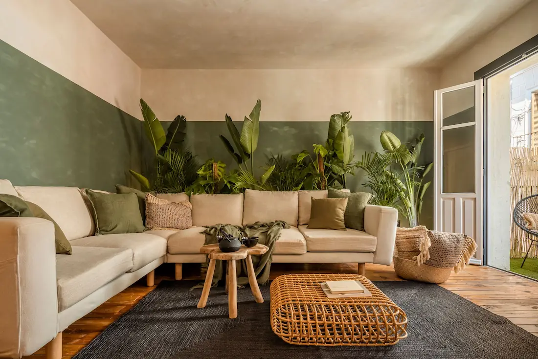 Estilo minimalista con toques orgánicos