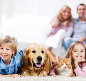 Familia con mascota en proyecto de vivienda pet friendly