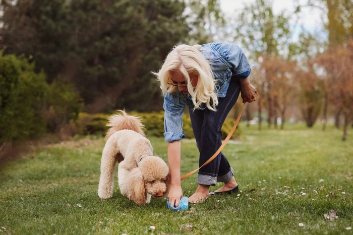 Tenencia responsable de mascotas en conjunto residencial