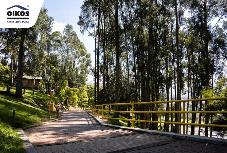 Beneficios de comprar vivienda en Zipaquirá Sendero adoquinado rodeado de árboles altos y baranda amarilla en parque de Zipaquirá